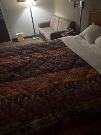 305-469-3249, 24  female escort, Valdosta